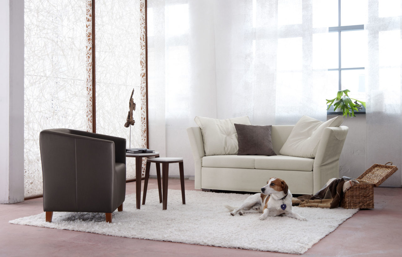 Sessel und Schlafsofas von bei Böhm Natur in